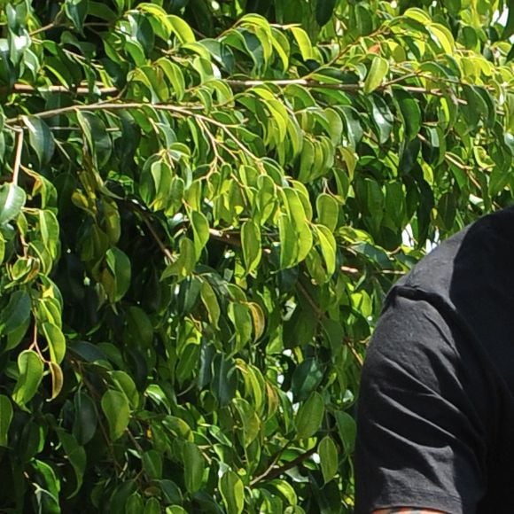 Amber Rose enceinte et son compagnon Alexander Edwards sont allés déjeuner au restaurant Petit Trois dans le quartier de Sherman Oaks à Los Angeles, le 3 mai 2019.