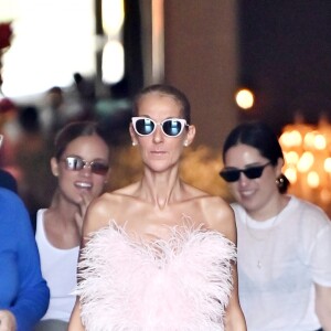 Céline Dion à la sortie de l'hôtel Crillon à Paris. Le 28 juin 2019