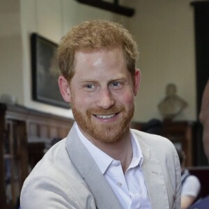 Le prince Harry, duc de Sussex, s'entretient avec le Dr Jane Goodal dans le cadre se son programme Roots & Shoots Global Leadership au chateau de Windsor dans le Berkshire, le 23 juillet 2019.  The Duke of Sussex meets young people as he attends Dr Jane Goodall Roots & Shoots Global Leadership Meeting at Windsor Castle in Berkshire. Windsor, July 23rd 2019.23/07/2019 - Windsor