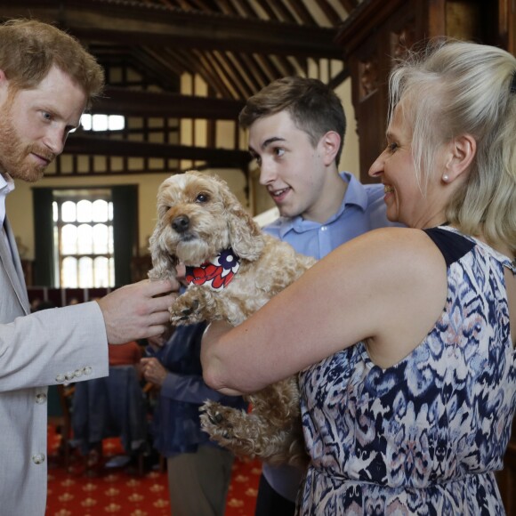 Le prince Harry, duc de Sussex, s'entretient avec le Dr Jane Goodal dans le cadre se son programme Roots & Shoots Global Leadership au chateau de Windsor dans le Berkshire, le 23 juillet 2019.  The Duke of Sussex meets Bella the Cockapoo with Annegret Finlay and Karsten Finlay as he attends Dr Jane Goodall Roots & Shoots Global Leadership Meeting at Windsor Castle in Berkshire. Windsor, July 23rd 2019.23/07/2019 - Windsor