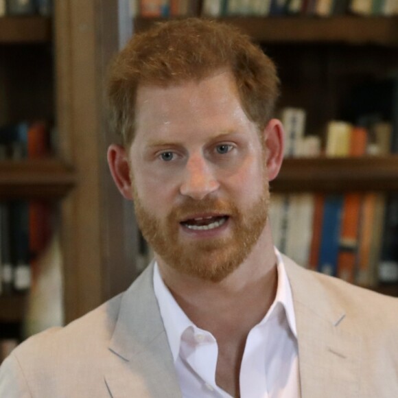 Le prince Harry, duc de Sussex, s'entretient avec le Dr Jane Goodal dans le cadre se son programme Roots & Shoots Global Leadership au chateau de Windsor dans le Berkshire, le 23 juillet 2019.  The Duke of Sussex speaking at Dr Jane Goodal Roots & Shoots Global Leadership Meeting at Windsor Castle in Berkshire. Windsor, July 23rd 2019.23/07/2019 - Windsor