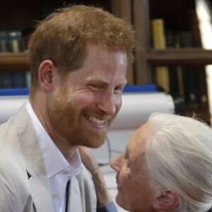 Le prince Harry, duc de Sussex, s'entretient avec le Dr Jane Goodal dans le cadre se son programme Roots & Shoots Global Leadership au chateau de Windsor dans le Berkshire, le 23 juillet 2019.  The Duke of Sussex hugs Dr Jane Goodall as he attends her Roots & Shoots Global Leadership Meeting at Windsor Castle in Berkshire. Windsor, July 23rd 2019.23/07/2019 - Windsor
