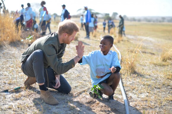 Le prince Harry, duc de Sussex, dans le parc national de Chobe au Botswana lors de sa visite officielle en Afrique australe, le 26 septembre 2019.