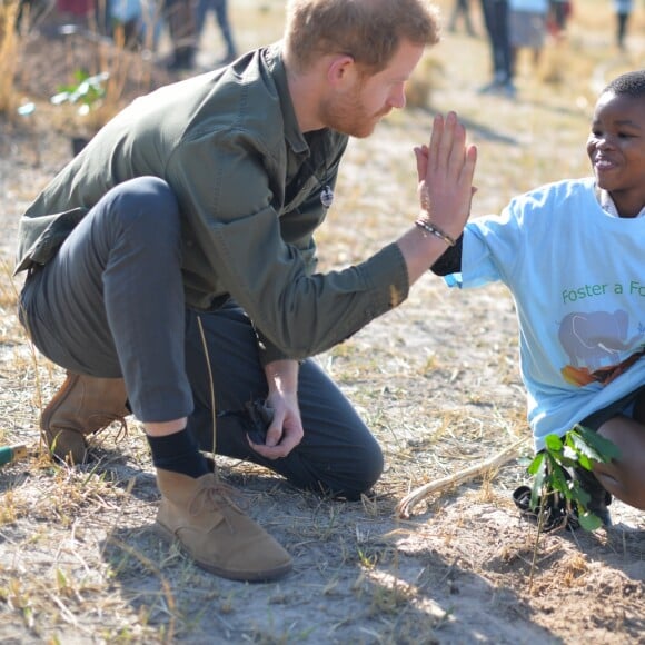 Le prince Harry, duc de Sussex, dans le parc national de Chobe au Botswana lors de sa visite officielle en Afrique australe, le 26 septembre 2019.