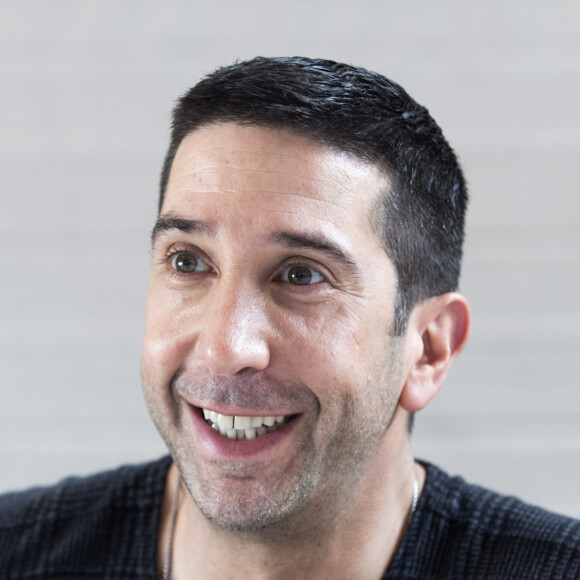David Schwimmer en conférence de presse pour la série "Feed the Beast" à West Hollywood. Le 26 mai 2016
