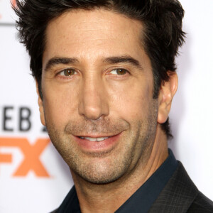 David Schwimmer - Première du film "The People v. O.J. Simpson : American Crime Story" à Los Angeles. Le 27 janvier 2016