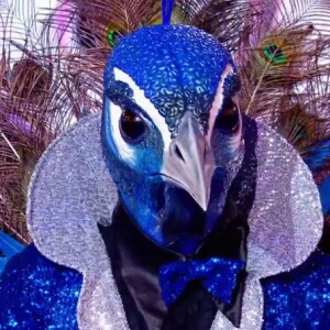 Mask Singer : qui se cache derrière le costume du paon ?