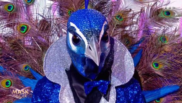 Mask Singer : qui se cache derrière le costume du paon ?