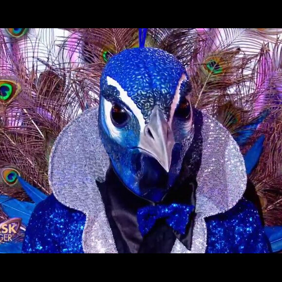 Mask Singer : qui se cache derrière le costume du paon ?