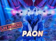 Mask Singer : Le paon démasqué, un champion du monde 98 ?
