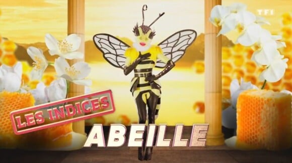 Portrait et performance de l'Abeille, personnage de "Mask Singer", sur TF1.