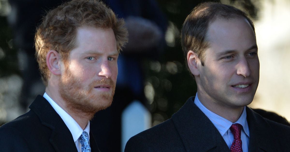 Le prince Harry et son frère le prince William - La ...