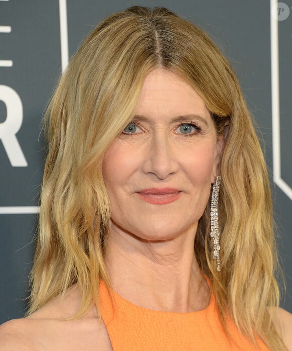 Laura Dern - 25e édition de la soirée des "Critics Choice Awards" au Barker Hangar à Santa Monica, Los Angeles, Californie, Etats-Unis, le 12 janvier 2020.