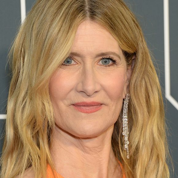 Laura Dern - 25e édition de la soirée des "Critics Choice Awards" au Barker Hangar à Santa Monica, Los Angeles, Californie, Etats-Unis, le 12 janvier 2020.