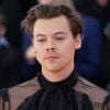 Harry Styles à la 71e édition du MET Gala (Met Ball, Costume Institute Benefit) sur le thème "Camp: Notes on Fashion" au Metropolitan Museum of Art à New York, le 6 mai 2019.