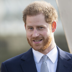 Le prince Harry, duc de Sussex, rencontre des jeunes joueurs de rugby dans les jardins du palais de Buckhingam à Londres le 16 janvier 2020.