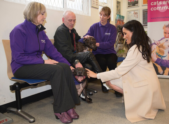 Meghan Markle, duchesse de Sussex, enceinte, visite le refuge pour animaux "The Mayhew Animal Home" dont elle est la marraine. Londres, le 16 janvier 2019.