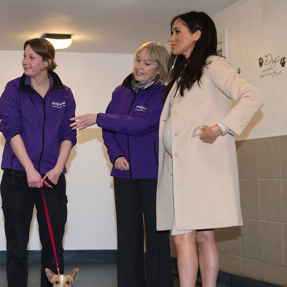 Meghan Markle, duchesse de Sussex, enceinte, visite le refuge pour animaux "The Mayhew Animal Home" dont elle est la marraine. Londres, le 16 janvier 2019.