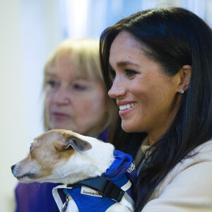 Meghan Markle, duchesse de Sussex, enceinte, visite le refuge pour animaux "The Mayhew Animal Home" dont elle est la marraine. Londres, le 16 janvier 2019.