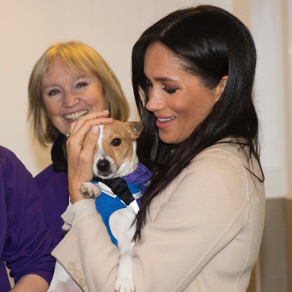 Meghan Markle, duchesse de Sussex, enceinte, visite le refuge pour animaux "The Mayhew Animal Home" dont elle est la marraine. Londres, le 16 janvier 2019.