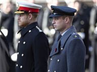 Le prince Harry et le prince William : toujours en froid mais "soulagés"