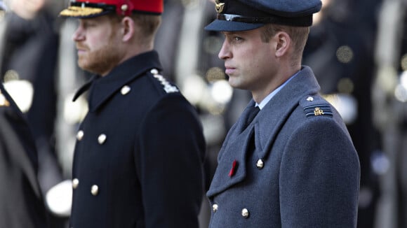 Le prince Harry et le prince William : toujours en froid mais "soulagés"