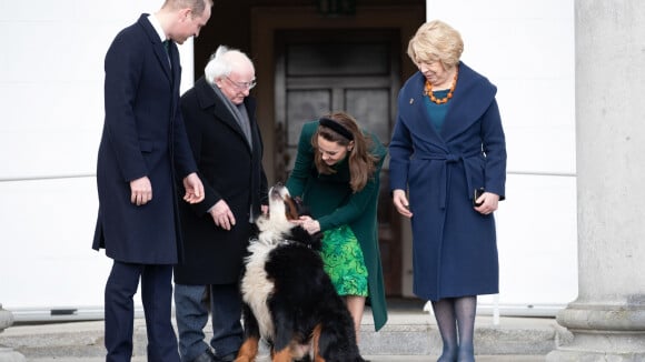 Kate Middleton et William en Irlande : un célèbre chien leur vole la vedette