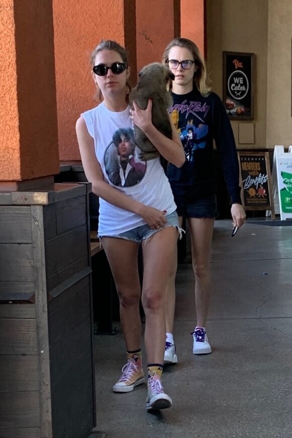 Exclusif - Ashley Benson et Cara Delevingne font les courses avec un de leurs chiots à Los Angeles, pendant l'épidémie de coronavirus (Covid-19), le 26 mars 2020. Avant d'entrer dans le supermarché "Erewhon", elles ont laissé leur chien dans leur voiture.
