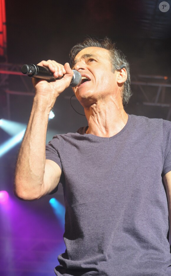 Exclusif - Jean-Jacques Goldman - Vente aux enchères à l'occasion du 20e anniversaire du spectacle "Les Vendanges du Coeur" à Ouveillan, près de Narbonne (Aude) au profit des "Restos du Coeur" le 20 juillet 2014.