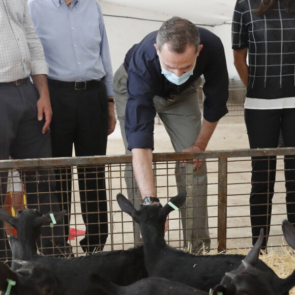 La reine Letizia et le roi Felipe VI d'Espagne en visite le 2 juin 2020 dans une chèvrerie non loin de Madrid.
