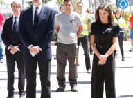 Letizia et Felipe d'Espagne : Recueillis pour la fin du deuil national