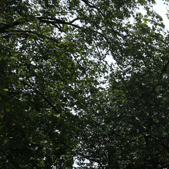 Le prince Charles, prince de Galles, Camilla Parker Bowles, duchesse de Cornouailles et le président de la République française Emmanuel Macron lors la commémoration du 80ème anniversaire de l'appel du 18 juin du général de Gaulle au Carlton Garden à Londres, Royaume Uni, le 18 juin 2010.