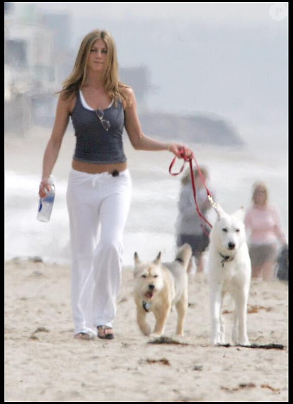 Jennifer Aniston en pleine balade avec ses chiens sur la plage.