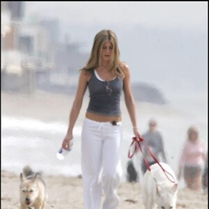 Jennifer Aniston s'est fait tatouer Norman, le nom de son chien, à l'intérieur du pied droit, en hommage.