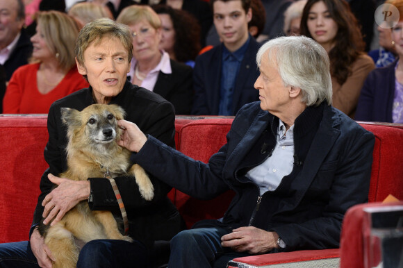 Dave et son compagnon Patrick Loiseau avec leur chien - Enregistrement de l'émission "Vivement Dimanche" à Paris le 24 février 2016 et qui sera diffusée le 28 février. © Coadic Guirec/Bestimage