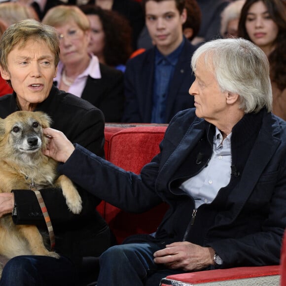 Dave et son compagnon Patrick Loiseau avec leur chien - Enregistrement de l'émission "Vivement Dimanche" à Paris le 24 février 2016 et qui sera diffusée le 28 février. © Coadic Guirec/Bestimage