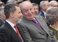 Juan Carlos Ier en exil : le pays d'accueil de l'ancien roi enfin confirmé