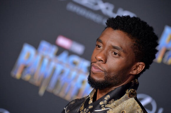 Chadewick Boseman à la première de "Black Panther" à Los Angeles.