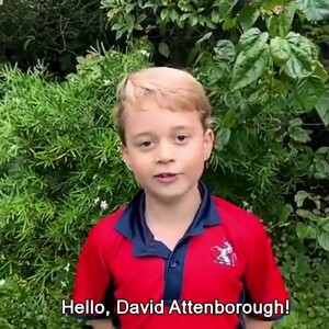 Prince George - David Attenborough répond aux questions de fans célèbres, dont le prince George, la princesse Charlotte et le prince Louis, au Royaume Uni, le 3 octobre 2020. 