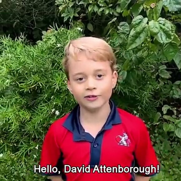 Prince George - David Attenborough répond aux questions de fans célèbres, dont le prince George, la princesse Charlotte et le prince Louis, au Royaume Uni, le 3 octobre 2020. 