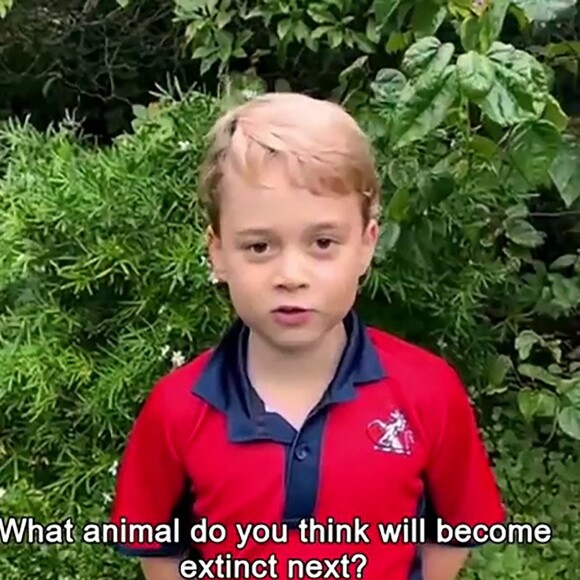 Prince George - David Attenborough répond aux questions de fans célèbres, dont le prince George, la princesse Charlotte et le prince Louis, au Royaume Uni, le 3 octobre 2020. 