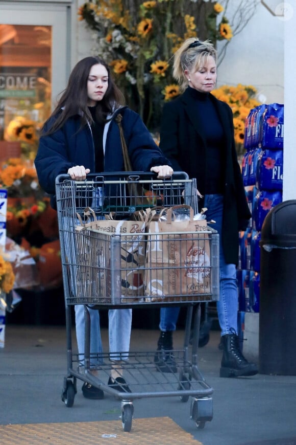 Exclusif - Melanie Griffith et sa fille Stella Banderas sont allées faire des courses chez Bristol Farms à West Hollywood, le 27 novembre 2019.