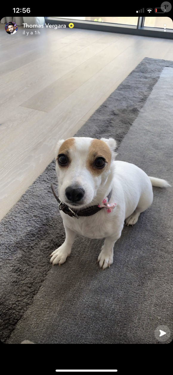 Nabilla a récupéré son chien Pita après des semaines de séparation - Snapchat, 21 novembre 2020