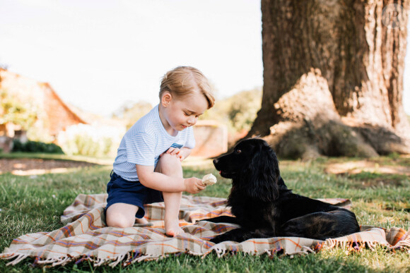 Le prince Georges et le chien Lupo le 22 juillet 2016.  