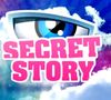 Logo Secret Story