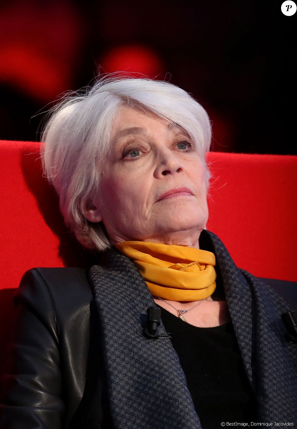 Exclusif - Enregistrement de l'émission "Le Divan" présentée par Marc-Olivier Fogiel avec Françoise Hardy en invitée, le 29 janvier 2016. © Dominique Jacovides / Bestimage