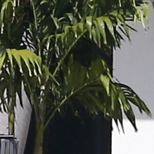 Jennifer Lopez fait des étirements pieds nus devant la maison qu'elle partage avec Ben Affleck à Miami le 25 mai 2021.