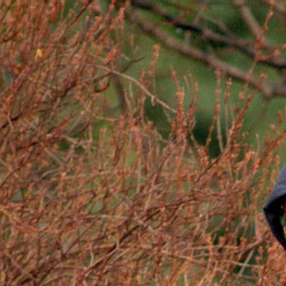 Elizabeth II lors d'une promenade à cheval à Sandringham en 1999.