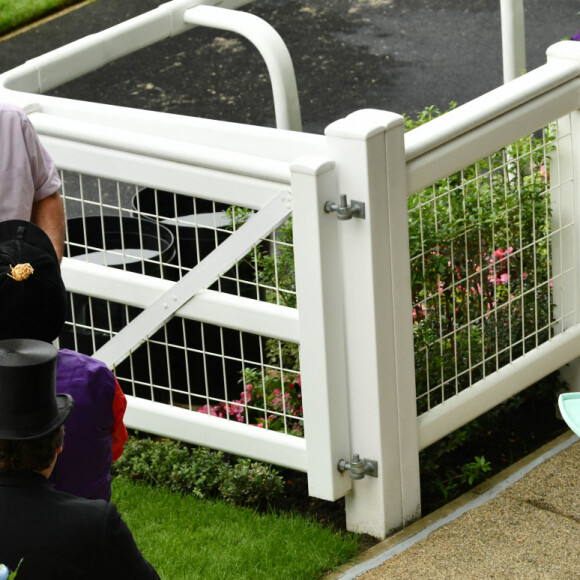 La reine Elisabeth II d'Angleterre assiste aux courses hippiques "Royal Ascot" le 19 juin 2021.