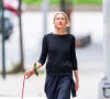 Exclusif - Naomi Watts promène son chien dans les rues de New York.
